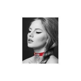 Collier en cuir rouge SM avec anneau métal argenté pour laisse 
